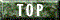 topg.gif - 1555 Bytes